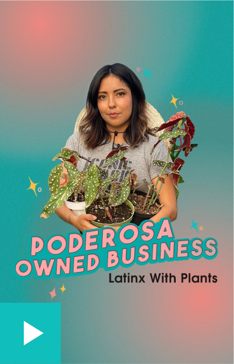 LPSBD LatinX with Plants